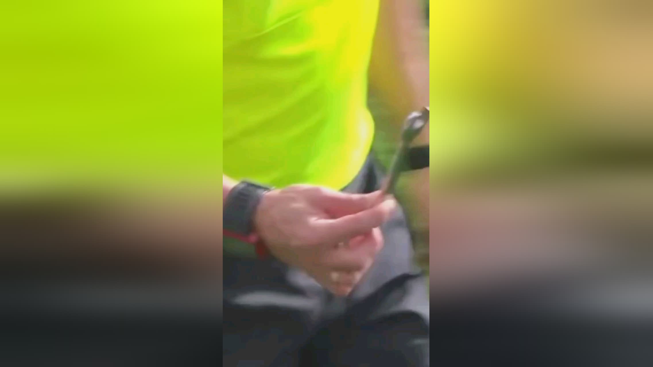 势的精